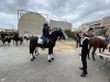 San Vicente del Raspeig celebra este domingo 22 de enero, la bendición de los animales por San Antón