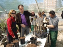 Alumnos de jardinería del taller Empleo Direct II preparan más de cuatro mil árboles y plantas autóctonas para los parques Lo Torrent y Norte