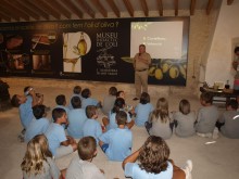 Casi un centenar de niños visitan el Museo Didáctico del Aceite dentro de las actividades de Estiu Xic