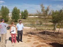 Alumnos de jardinería del Taller de Empleo plantan 2.500 arbustos, árboles y plantas autóctonas en el Parque Norte Canastell