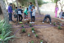 Medio Ambiente enseña a los escolares la  importancia de los árboles en el entorno