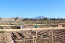 Los usuarios de los huertos urbanos de San Vicente se forman en agricultura ecológica