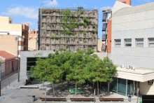 Aprobada la rehabilitación del jardín vertical con otro sistema de mantenimiento más fiable y duradero