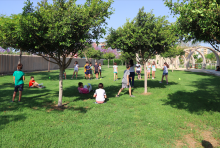 El alumnado de Primaria celebra el Día del Medio Ambiente