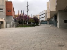 San Vicente abre una línea de ayudas a familias vulnerables ante la crisis del Covid-19