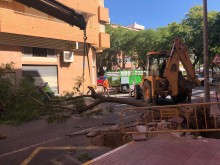 Comienzan las obras de reurbanización y acondicionamiento de calle Pelayo