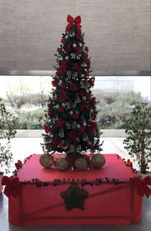 San Vicente del Raspeig celebra la Navidad adaptada al protocolo covid