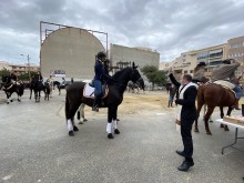 San Vicente celebra San Antón tras la ausencia en 2021 por la pandemia