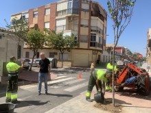 Parques y Jardines inicia la plantación de 116 nuevos árboles en distintas calles de ciudad