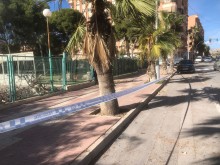 La Policía Local de San Vicente del Raspeig atiende 22 avisos relacionados con las fuertes rachas de viento